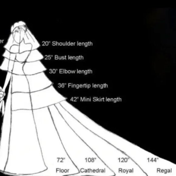 Cathedral Floral Lace Wedding Veil